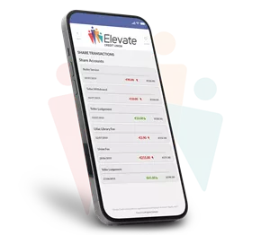 View Account Balances and Transactions